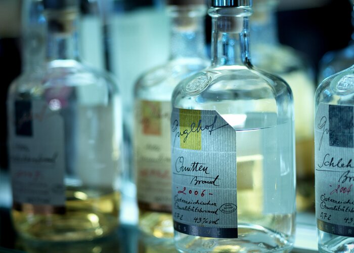 Bar im arthotel Blaue Gans in der Getreidegasse (Foto Ingo Pertramer)