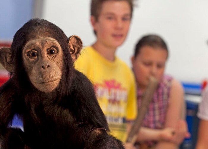 Salzburger Museumswochenende im Haus der Natur | © Haus der Natur / Kressl