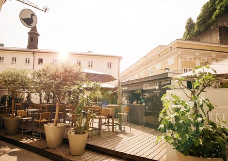 arthotel Blaue Gans | © Ingo Pertramer