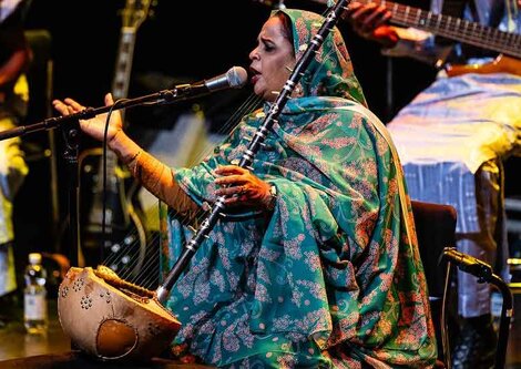 Noura Mint Seymali mit einem Musikinstrument | © Eric Van Nieuwland