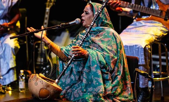 Noura Mint Seymali mit einem Musikinstrument | © Eric Van Nieuwland