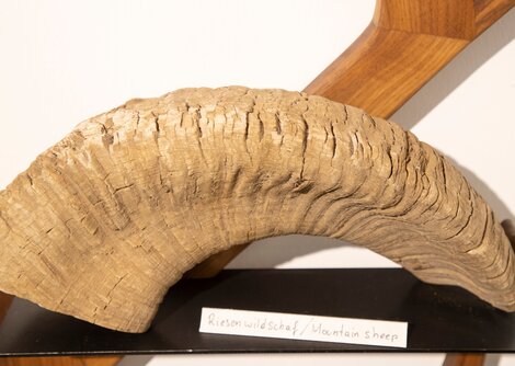 Handwerkstour bei Messermacher Kappeller | © Andreas Kolarik