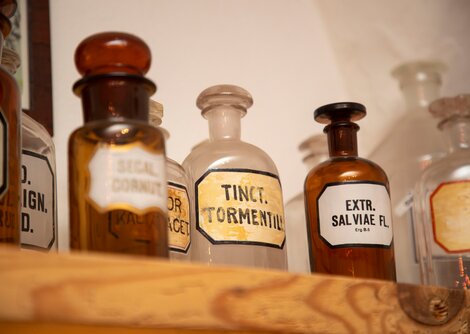 Hand.Kopf.Werk. bei Botanicus | © Andreas Kolarik