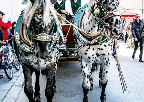 Salzburger Rupertikirtag | © Wildbild