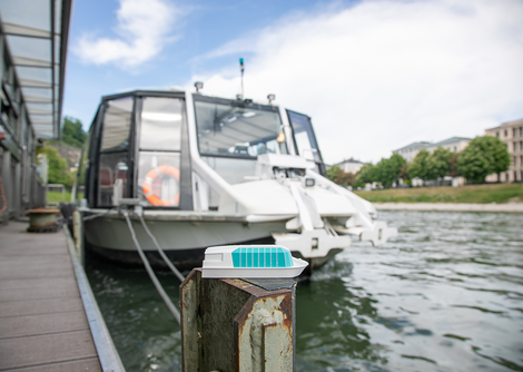 Foto des Spielzeugbootes für das Charity Amadeus Boat Race | © Anna Pirato