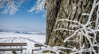 Winterlandschaft | © wildbild