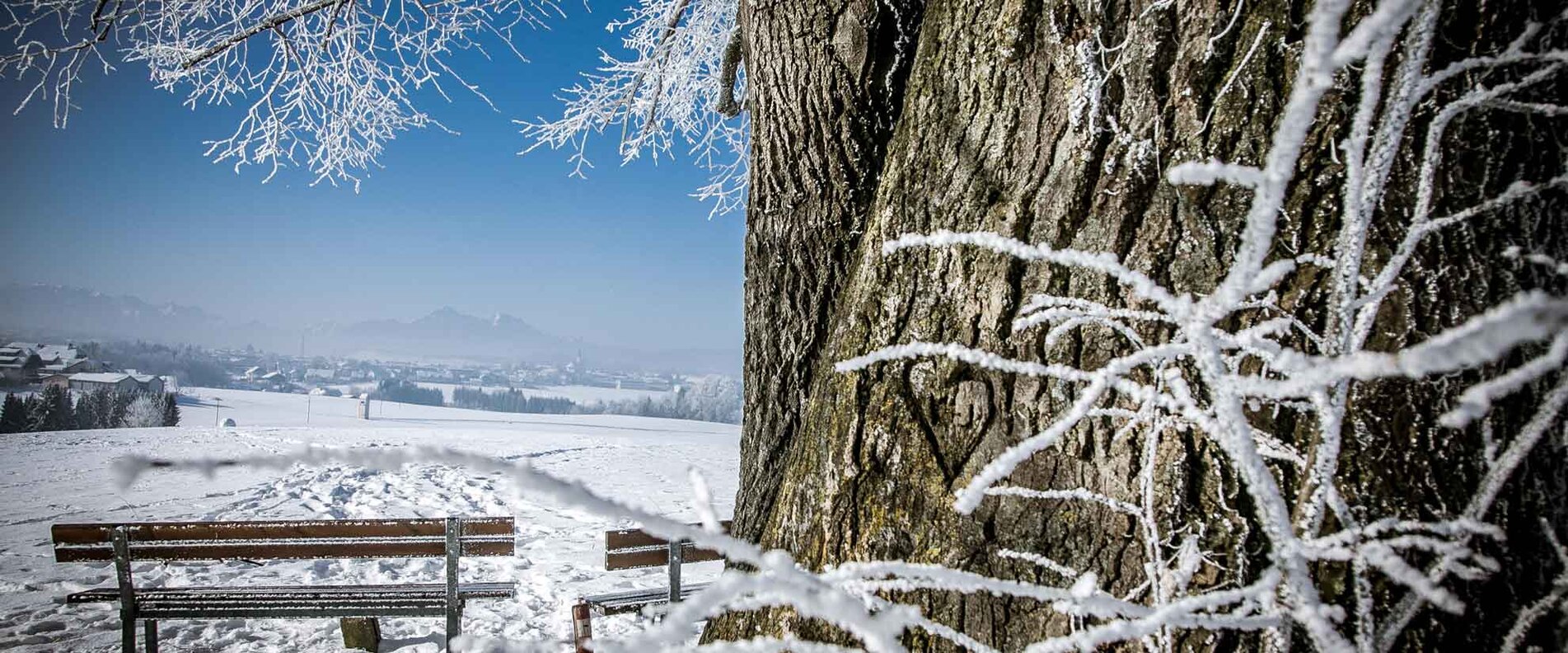 Winterlandschaft | © wildbild