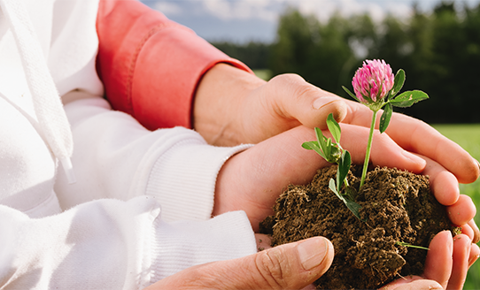 Hände einer älteren und einer jüngeren Person halten eine Pflanze | © Bio Austria