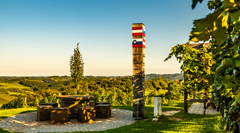Foto eines Weinbaugebietes | © Shutterstock
