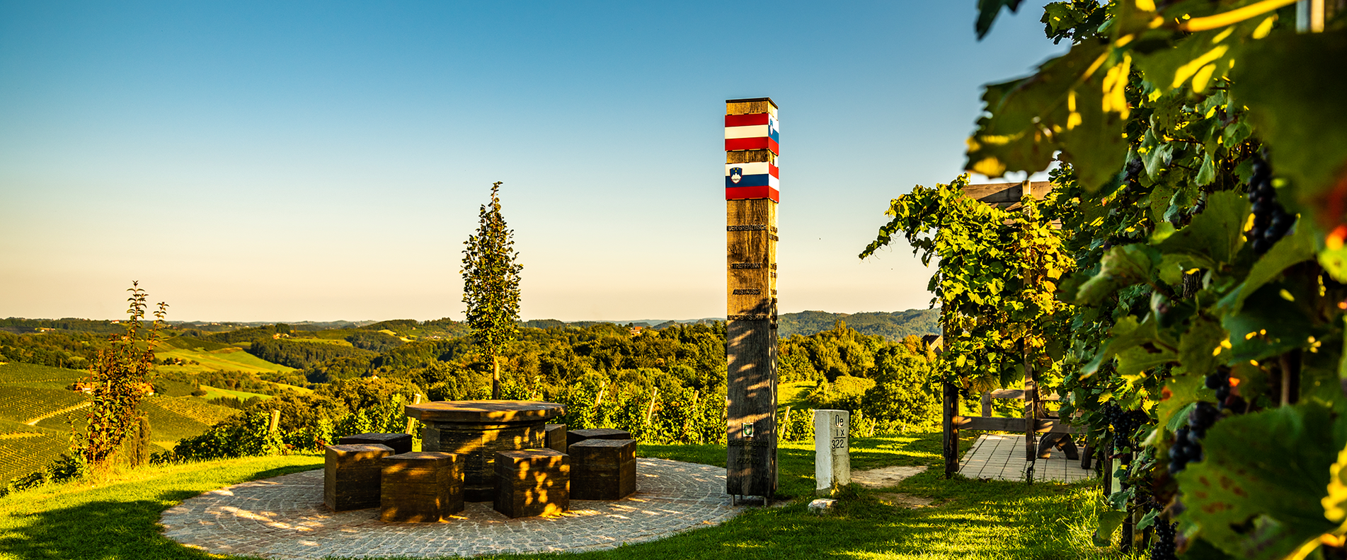Foto eines Weinbaugebietes | © Shutterstock