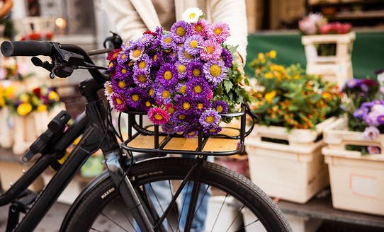 Blumen in einem Fahrradkorb. | © Niko Zuparc