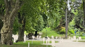Becoming with Trees | © Claudia Rohrmoser